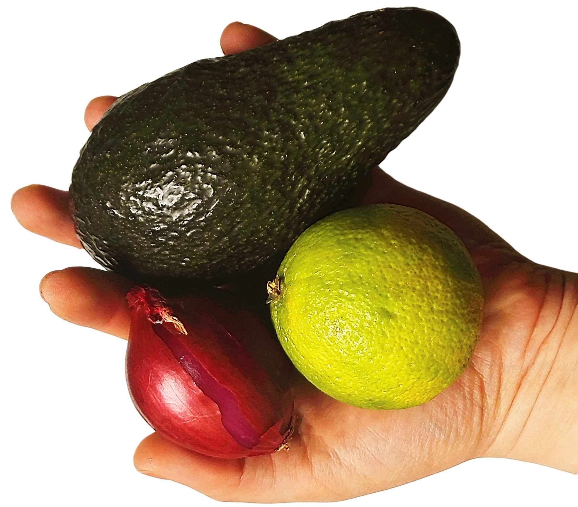 Avocado Dip Zutaten in Hand: Avocado, Limette, rote Zwiebel