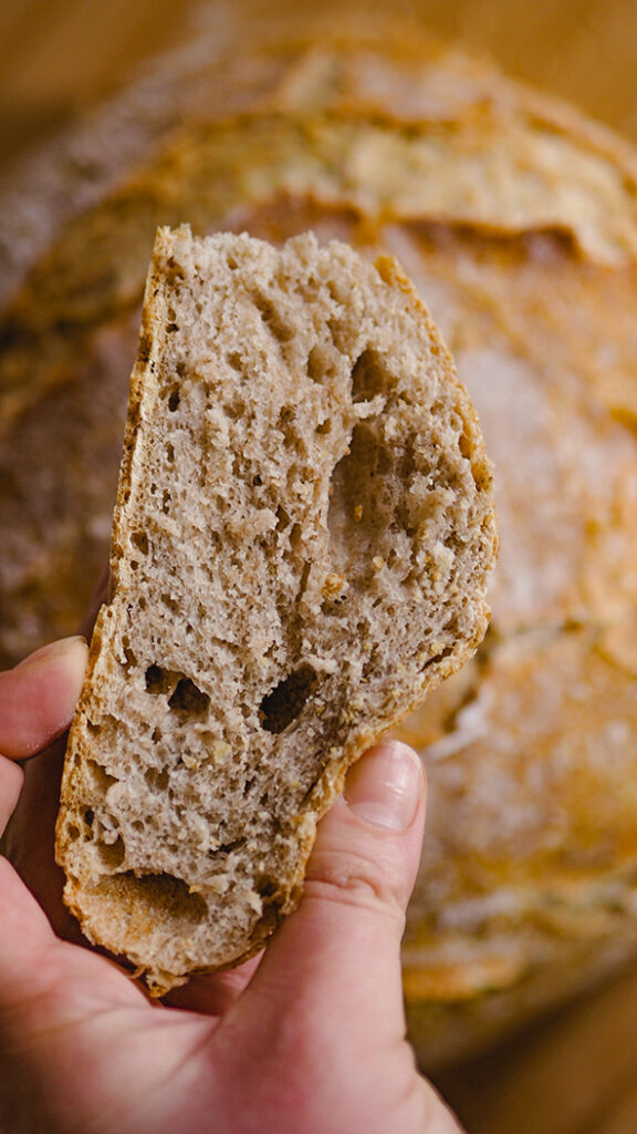 Brot im Topf backen (super knusprig!) – Rezept und Tipps